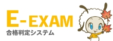 E-EXAM