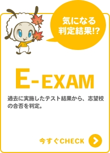 E-EXAM